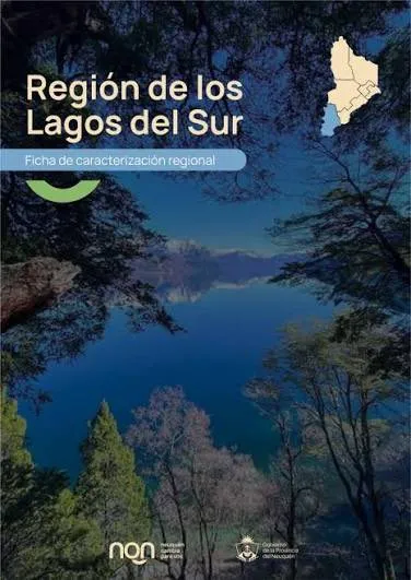 Latam suspende la ruta Neuquén-Santiago por baja demanda