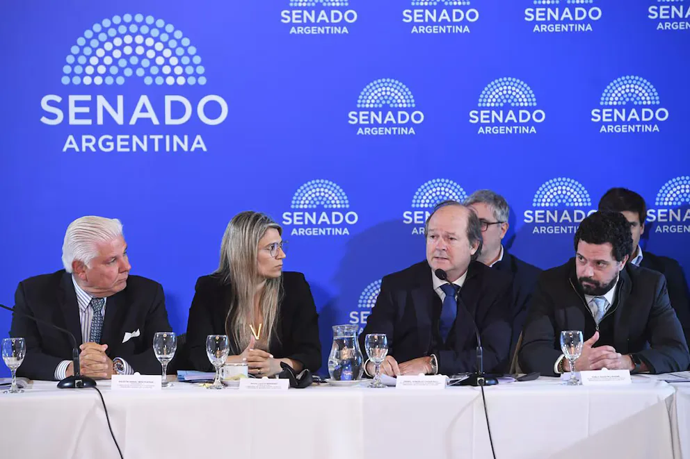 El oficialismo defendió el Súper RIGI en el Senado frente a la oposición