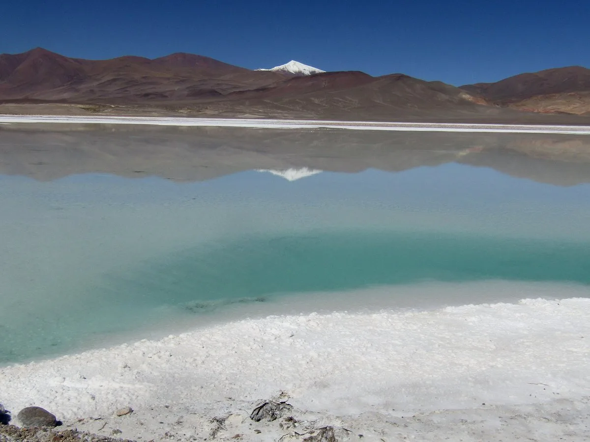 Salta aprobó los informes ambientales para dos plantas de litio en el Salar de Pocitos