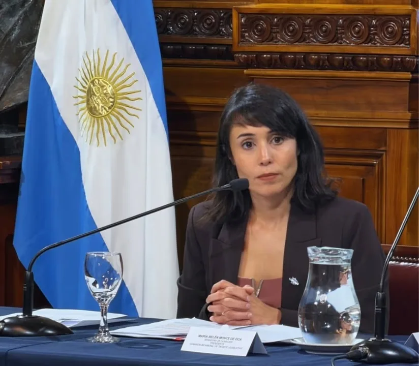 Monte de Oca destacó los anuncios de Milei sobre Malvinas como política de Estado