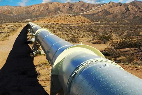 Piden por la ejecución de las obras del Gasoducto Norte de Santa Cruz